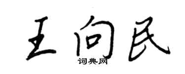 王正良王向民行書個性簽名怎么寫