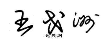 朱錫榮王戈洲草書個性簽名怎么寫