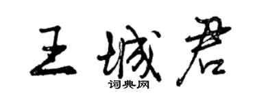 曾慶福王城君行書個性簽名怎么寫