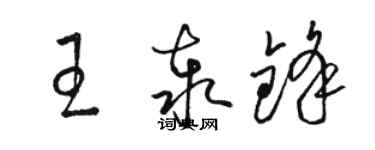 駱恆光王泰鋒草書個性簽名怎么寫