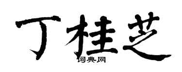 翁闓運丁桂芝楷書個性簽名怎么寫