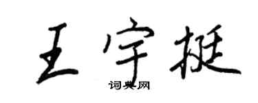 王正良王宇挺行書個性簽名怎么寫