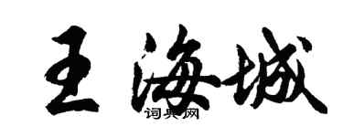 胡問遂王海城行書個性簽名怎么寫