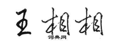 駱恆光王相相行書個性簽名怎么寫
