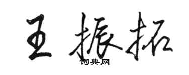 駱恆光王振拓行書個性簽名怎么寫