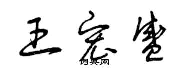 曾慶福王宏盛草書個性簽名怎么寫