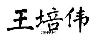 翁闓運王培偉楷書個性簽名怎么寫