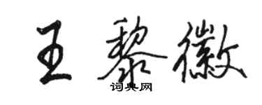 駱恆光王黎徽行書個性簽名怎么寫