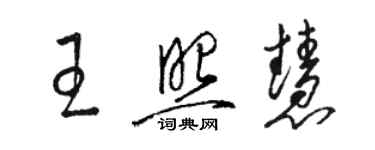 駱恆光王照慧草書個性簽名怎么寫