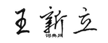 駱恆光王新立行書個性簽名怎么寫