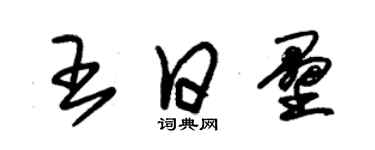 朱錫榮王日壘草書個性簽名怎么寫