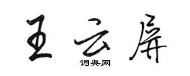 駱恆光王雲屏行書個性簽名怎么寫