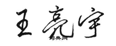 駱恆光王亮宇行書個性簽名怎么寫