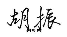 駱恆光胡振行書個性簽名怎么寫