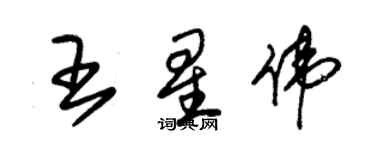 朱錫榮王星偉草書個性簽名怎么寫