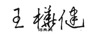 駱恆光王樺健草書個性簽名怎么寫