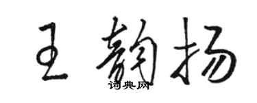 駱恆光王韻揚草書個性簽名怎么寫