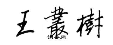 王正良王叢樹行書個性簽名怎么寫