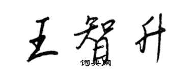 王正良王智升行書個性簽名怎么寫