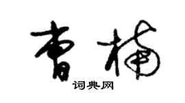 朱錫榮曹楠草書個性簽名怎么寫