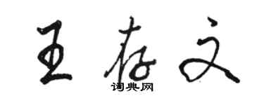 駱恆光王存文行書個性簽名怎么寫