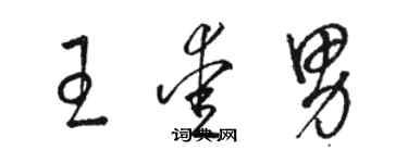 駱恆光王愛男草書個性簽名怎么寫