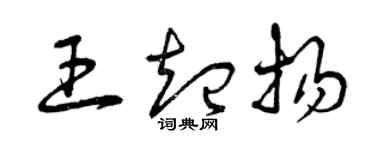 曾慶福王起揚草書個性簽名怎么寫