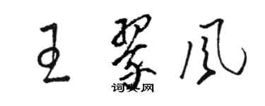 駱恆光王翠風草書個性簽名怎么寫