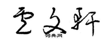 曾慶福盧文軒草書個性簽名怎么寫