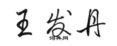 駱恆光王發丹行書個性簽名怎么寫