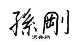 王正良孫剛行書個性簽名怎么寫