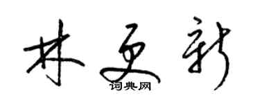 梁錦英林更新草書個性簽名怎么寫