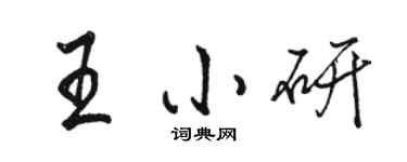 駱恆光王小研行書個性簽名怎么寫