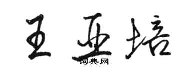 駱恆光王亞培行書個性簽名怎么寫