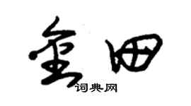 朱錫榮金田草書個性簽名怎么寫