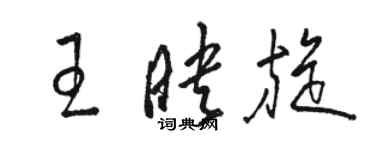 駱恆光王映旋草書個性簽名怎么寫