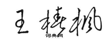 駱恆光王椿楓草書個性簽名怎么寫