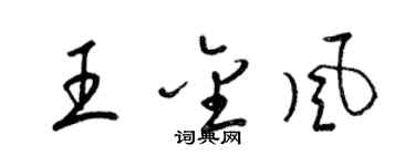 梁錦英王金風草書個性簽名怎么寫