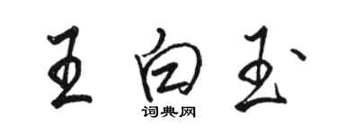 駱恆光王白玉行書個性簽名怎么寫