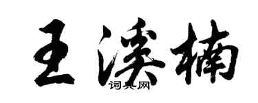 胡問遂王溪楠行書個性簽名怎么寫