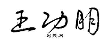 曾慶福王功朋草書個性簽名怎么寫