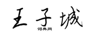 王正良王子城行書個性簽名怎么寫