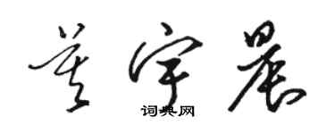 駱恆光莫宇晨草書個性簽名怎么寫