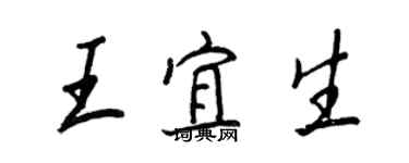 王正良王宜生行書個性簽名怎么寫