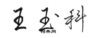 駱恆光王玉科行書個性簽名怎么寫