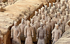 海洋精靈麒麟魚五彩繽紛讓人賞心悅目