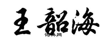 胡問遂王韶海行書個性簽名怎么寫
