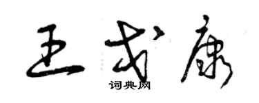 曾慶福王戈康草書個性簽名怎么寫