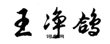 胡問遂王淨鴿行書個性簽名怎么寫