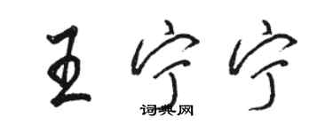 駱恆光王寧寧行書個性簽名怎么寫